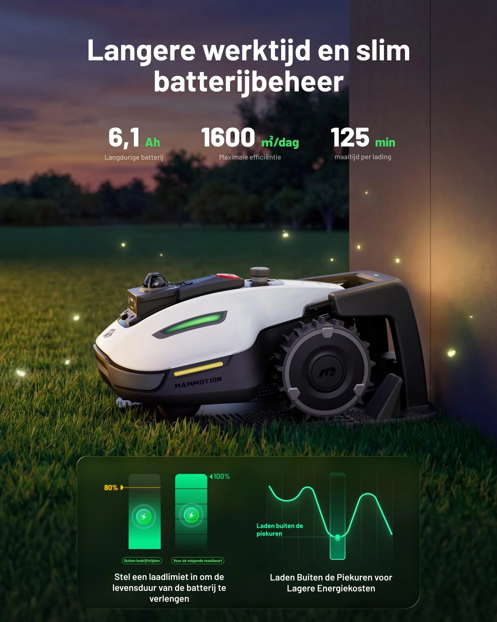 Productafbeelding 6