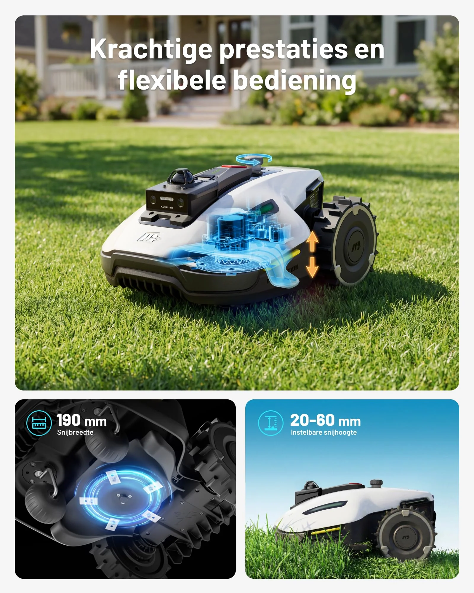 Productafbeelding 9